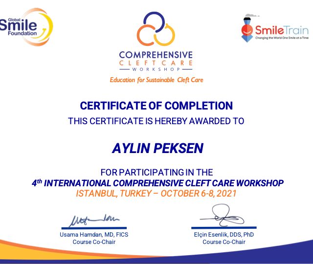 Resmi büyüt: certificate 3