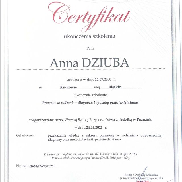 Powiększ obraz: certificate 6