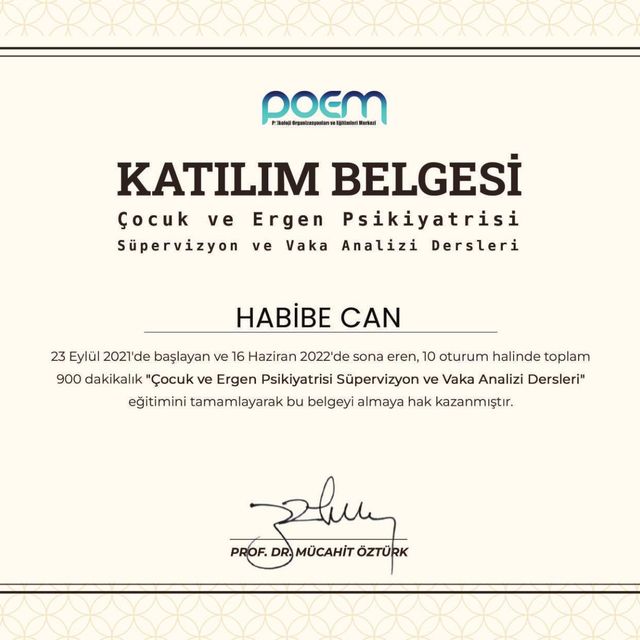 Resmi büyüt: certificate 8