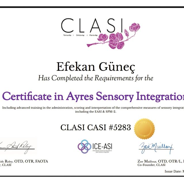 Resmi büyüt: certificate 1