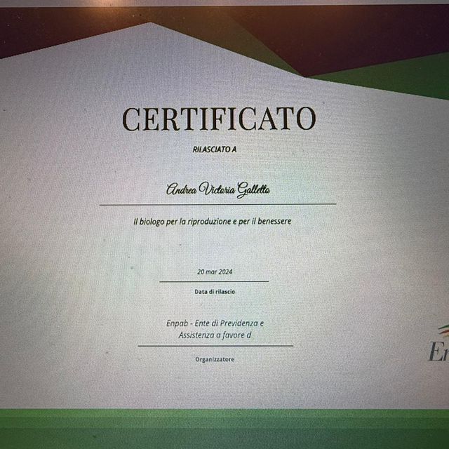 Ingrandire l'immagine: certificate 3
