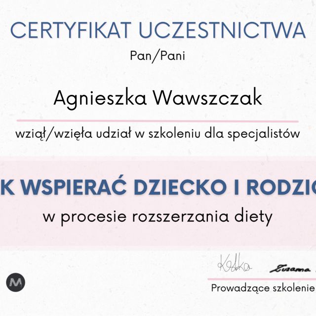 Powiększ obraz: certificate 1