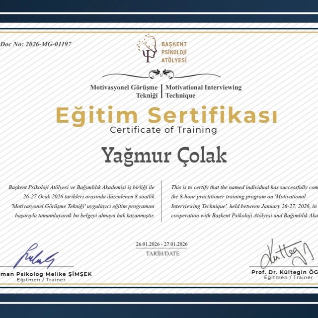 Resmi büyüt: certificate 1