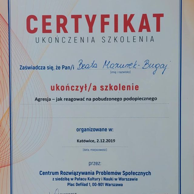 Powiększ obraz: certificate 8