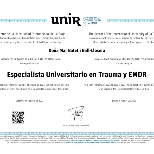 Acercar imagen: certificate 2