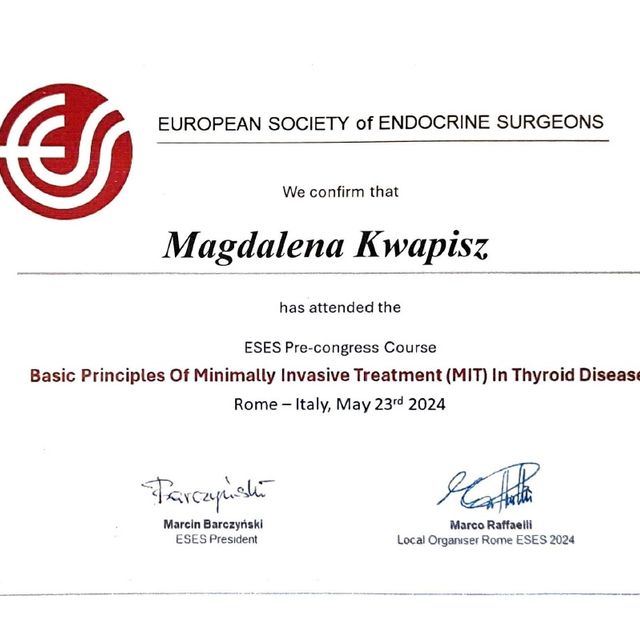 Powiększ obraz: certificate 2