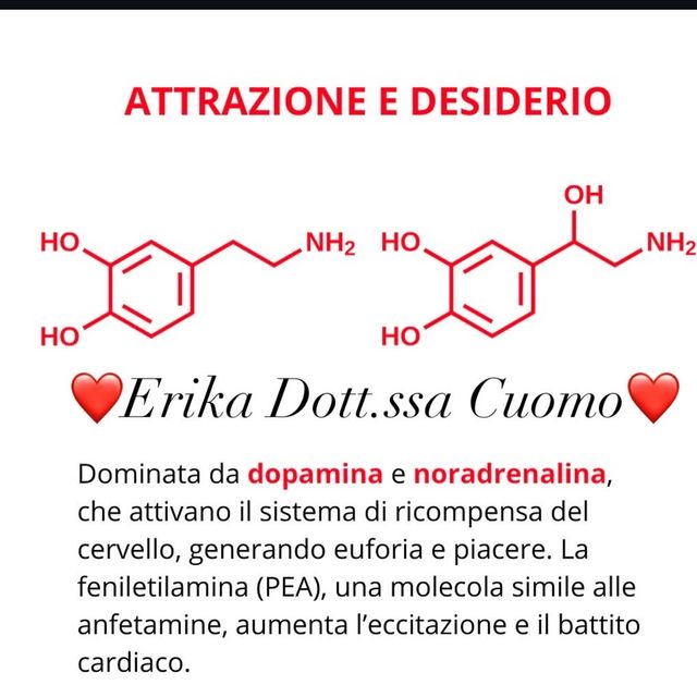 Ingrandire l'immagine: certificate 351