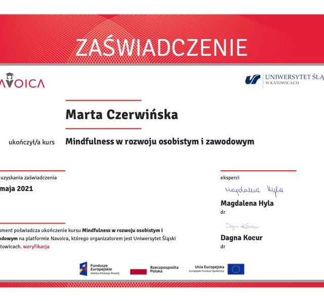 Powiększ obraz: certificate 1