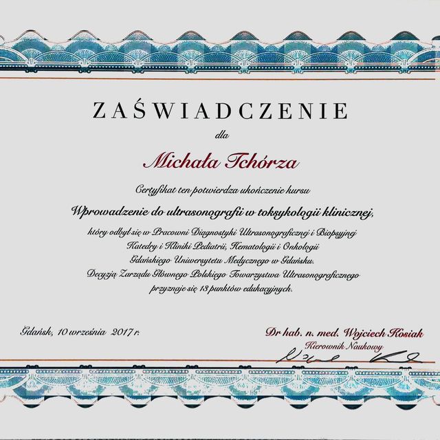 Powiększ obraz: certificate 1