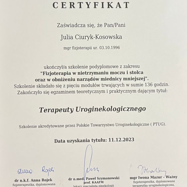 Powiększ obraz: certificate 1