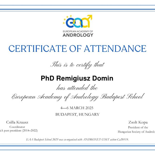 Powiększ obraz: certificate 17