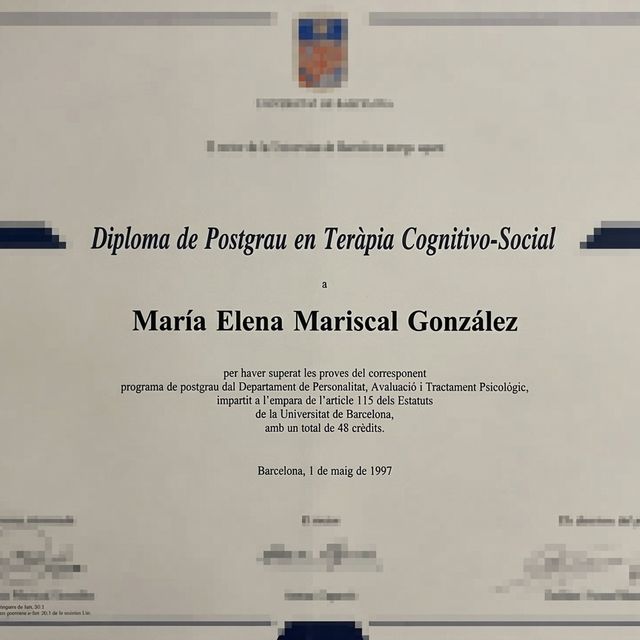 Acercar imagen: certificate 2