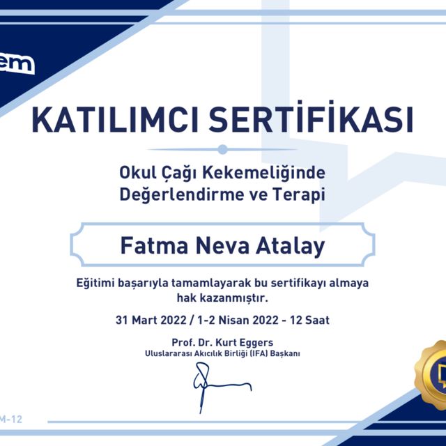 Resmi büyüt: certificate 14
