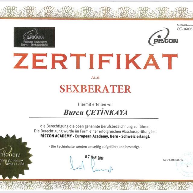 Resmi büyüt: certificate 2
