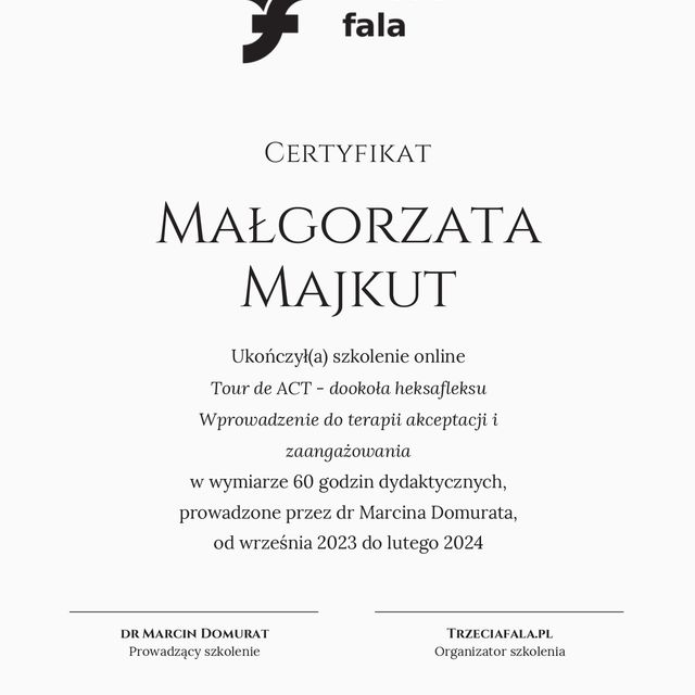 Powiększ obraz: certificate 2
