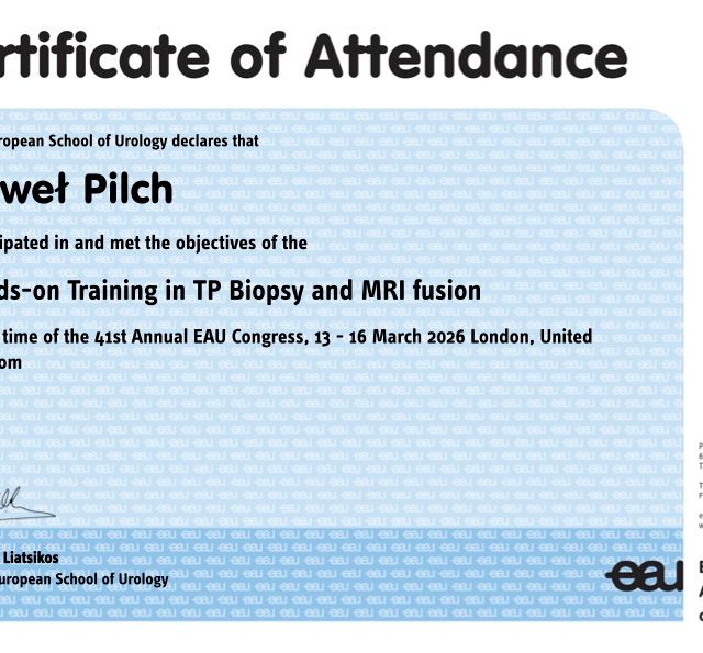 Powiększ obraz: certificate 71