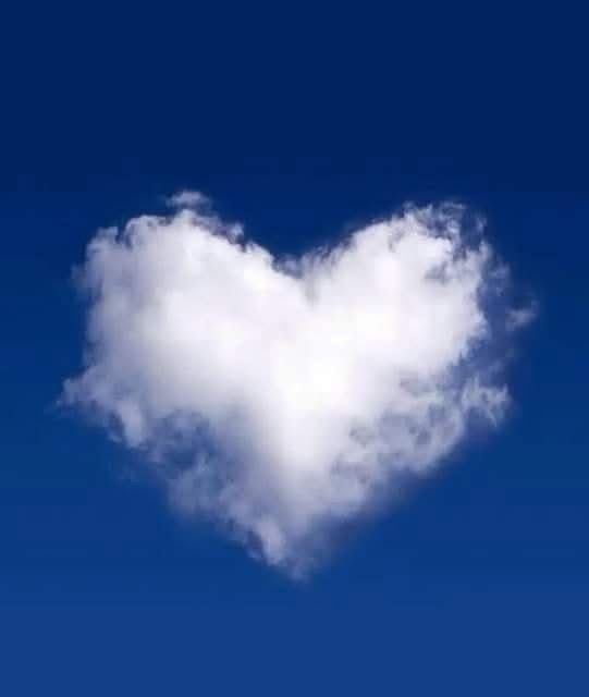 Ingrandire l'immagine: certificate 107