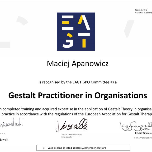 Powiększ obraz: certificate 4