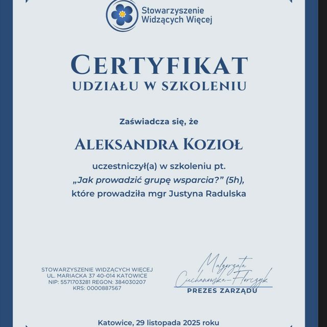 Powiększ obraz: certificate 6