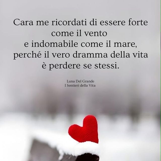 Ingrandire l'immagine: certificate 103