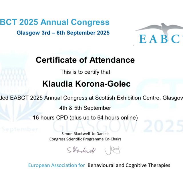 Powiększ obraz: certificate 2