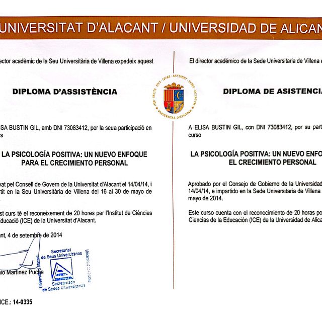 Acercar imagen: certificate 6