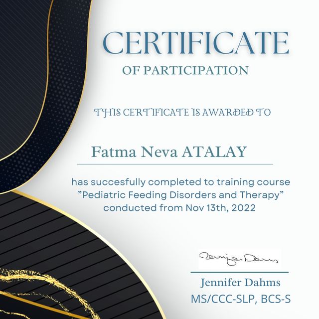 Resmi büyüt: certificate 33