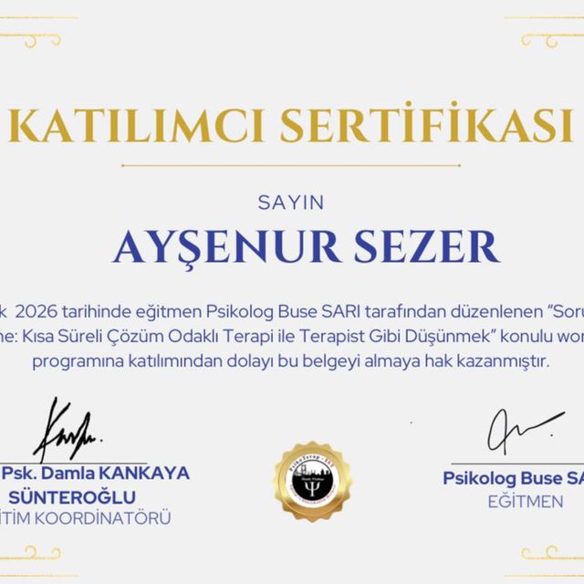 Resmi büyüt: certificate 2