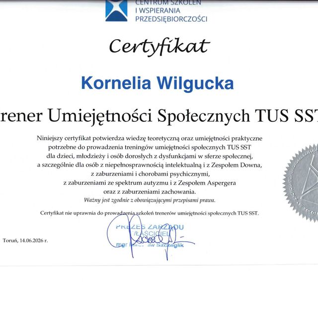 Powiększ obraz: certificate 3