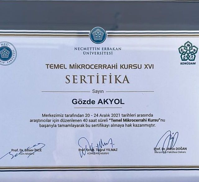Resmi büyüt: certificate 4