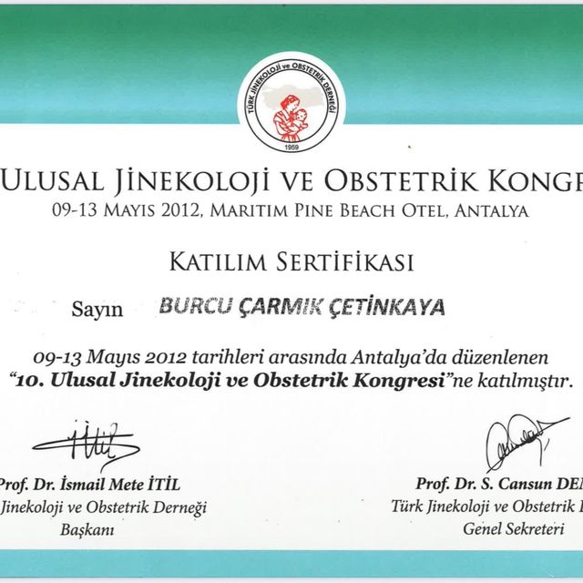 Resmi büyüt: certificate 29