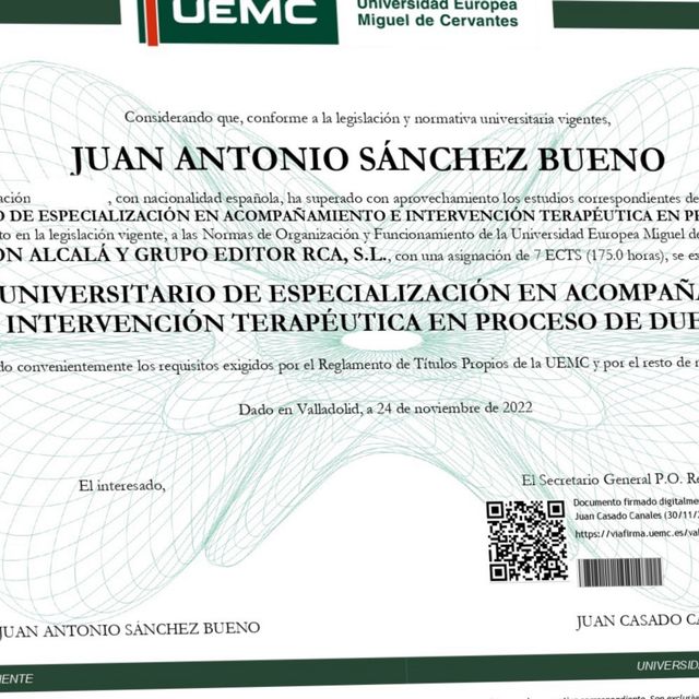 Acercar imagen: certificate 4