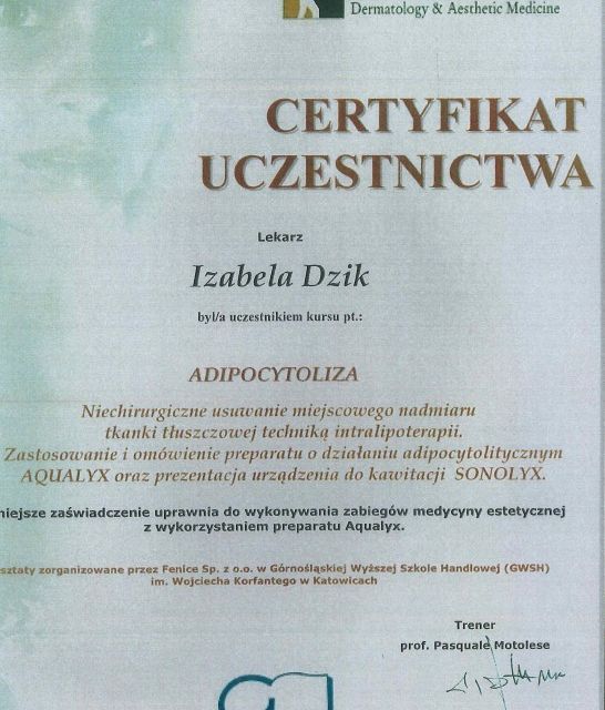 Powiększ obraz: certificate 28