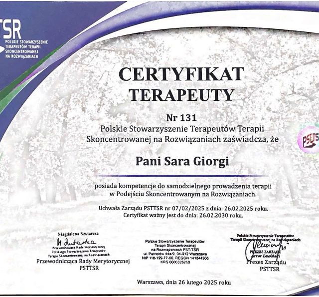 Powiększ obraz: certificate 1