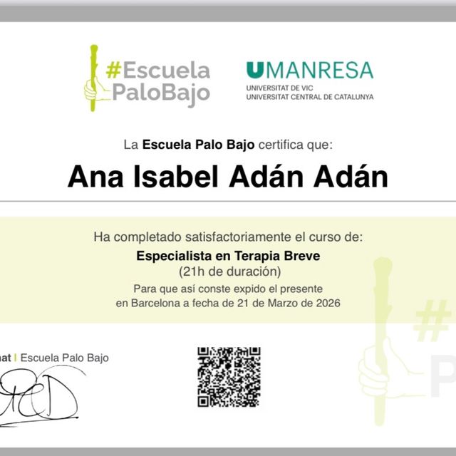 Acercar imagen: certificate 23