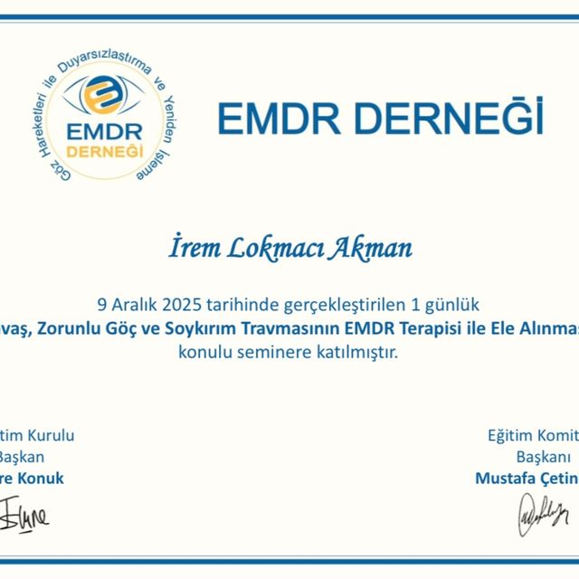 Resmi büyüt: certificate 17