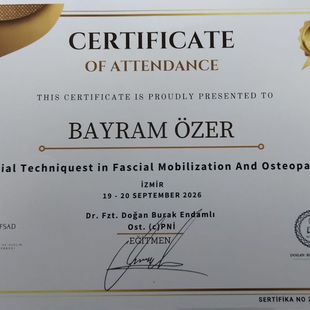 Resmi büyüt: certificate 3
