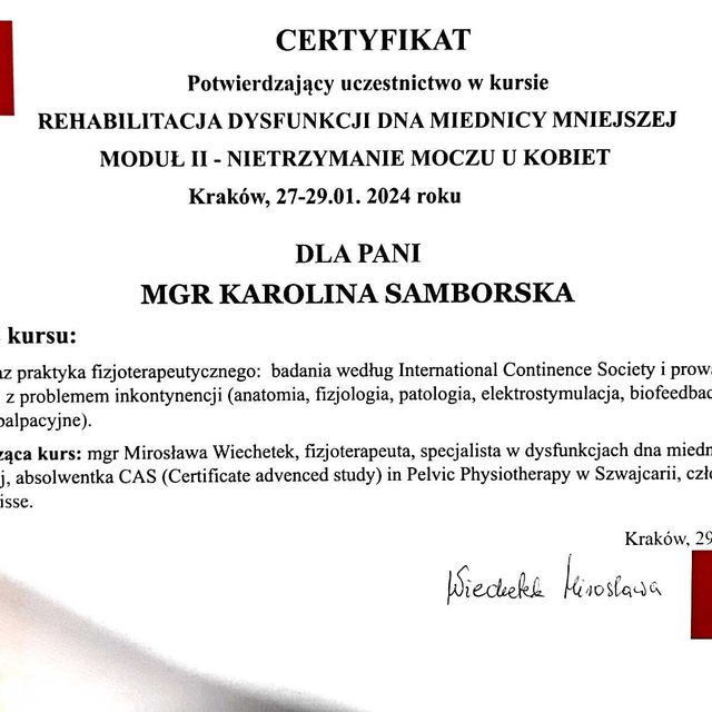 Powiększ obraz: certificate 1