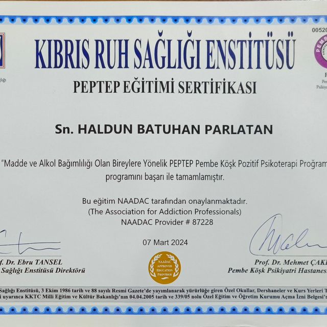 Resmi büyüt: certificate 21