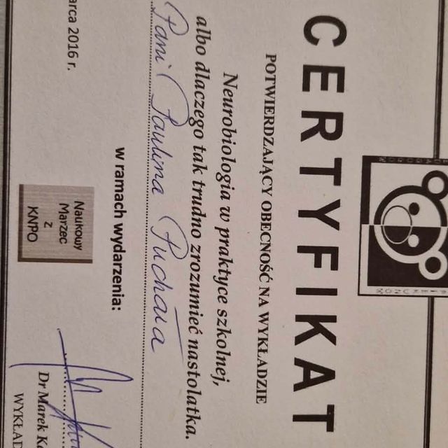 Powiększ obraz: certificate 4