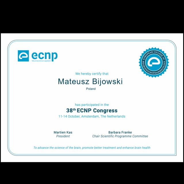 Powiększ obraz: certificate 3