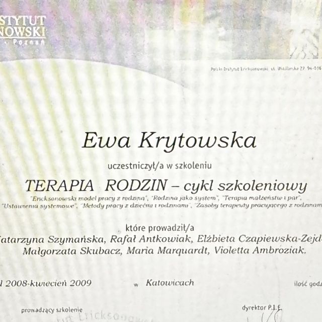 Powiększ obraz: certificate 4
