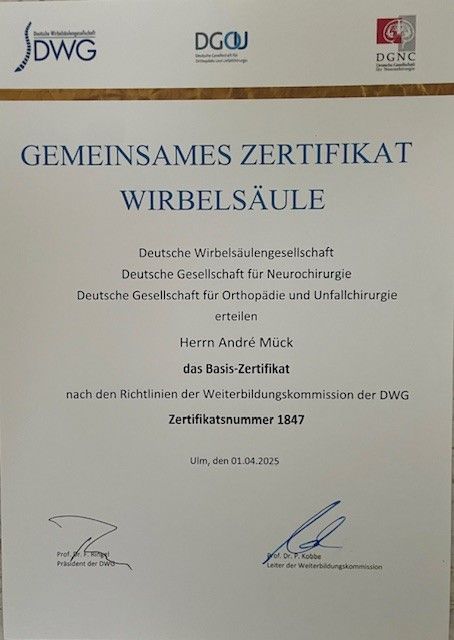 Bild vergrößern: certificate 4