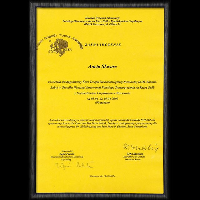 Powiększ obraz: certificate 3