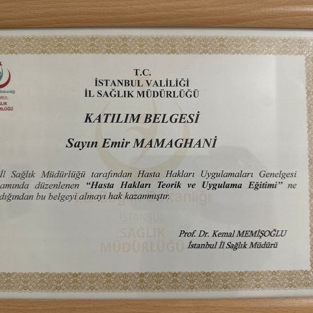 Resmi büyüt: certificate 1