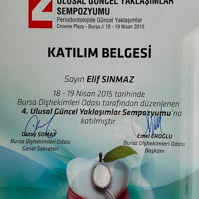 Resmi büyüt: certificate 4