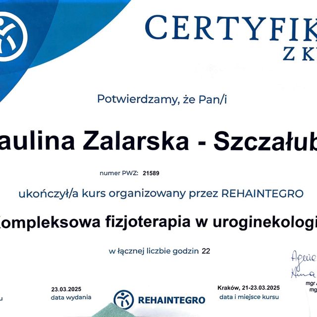 Powiększ obraz: certificate 2