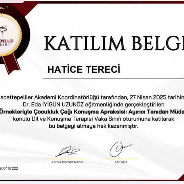 Resmi büyüt: certificate 17