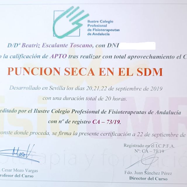 Acercar imagen: certificate 7
