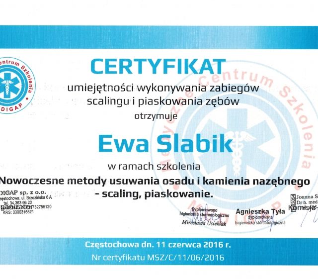 Powiększ obraz: certificate 2